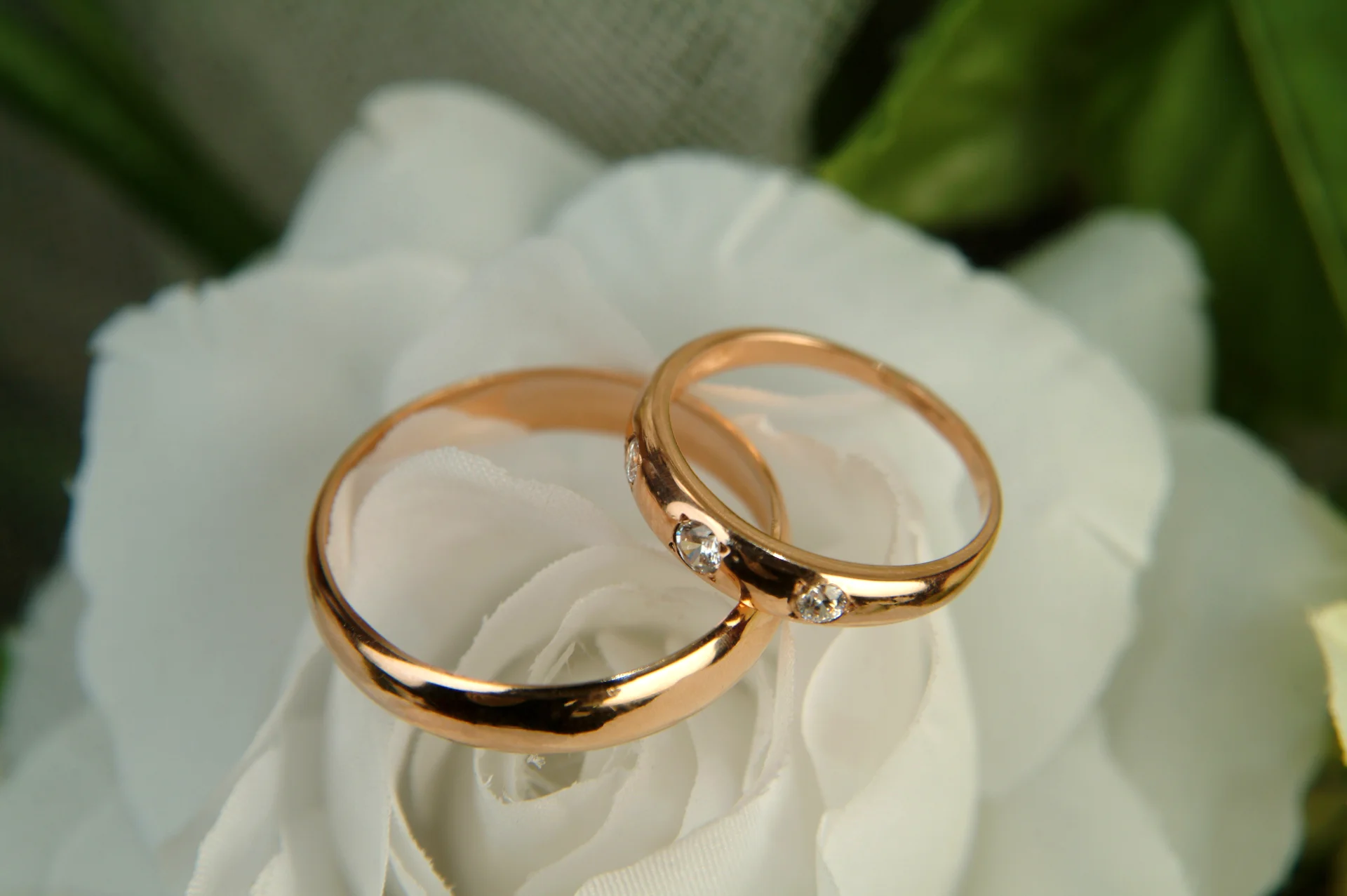 wedding-rings-intended-plan-bouquet-flowers-background